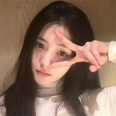 鲨颤封面