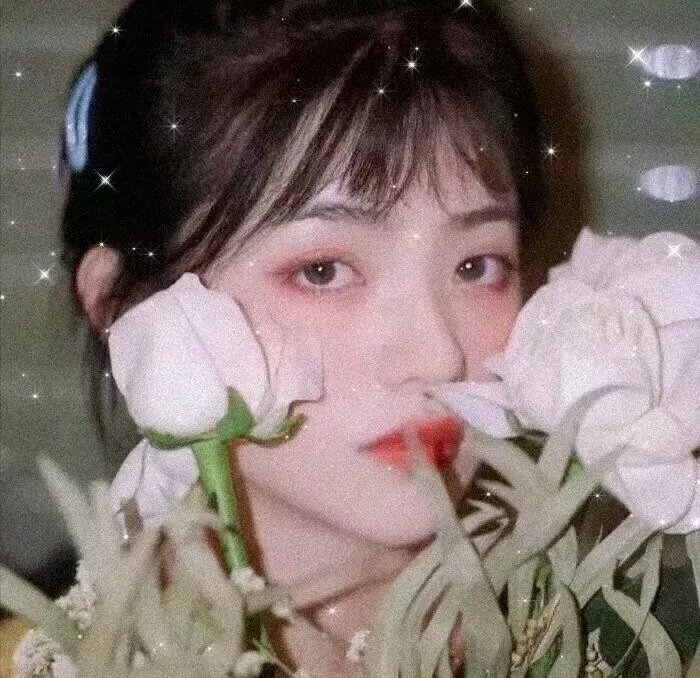 合意成年人封面