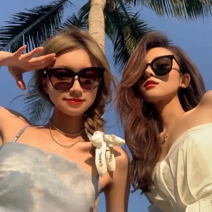 金刚斗恐龙封面